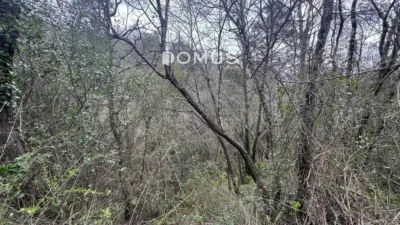 House in La Vall de Bianya photo 5