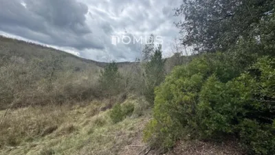 House in La Vall de Bianya photo 9