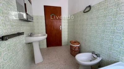 House in Alcalá de los Gazules photo 13