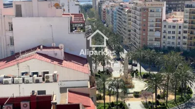 Apartment in Daya Vieja - Vista 3