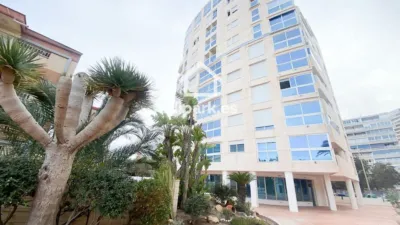 Pis – Alicante - Alacant - Vista 4