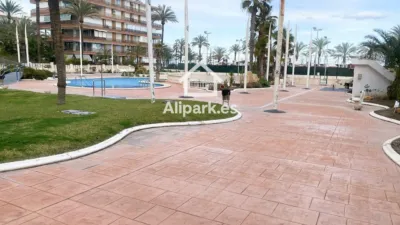 Pis – Alicante - Alacant - Més