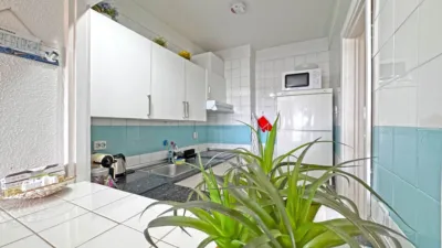 Apartment in Puerto de Alcudia photo 6