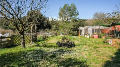 House in Besalú photo 25