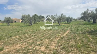 Terreno en venta en Onil - Vista 2