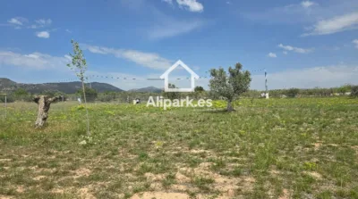 Terreno en venta en Onil - Vista 4