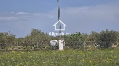 Terreno en venta en Onil - Vista 5