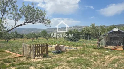 Terreno en venta en Onil - Més
