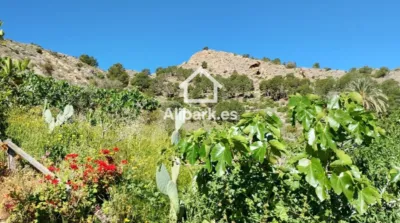 Casa – Orihuela, Raiguero de Bonanza - Vista 4