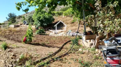 Casa – Orihuela, Raiguero de Bonanza - Vista 5