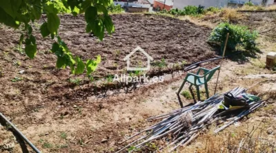 Casa – Orihuela, Raiguero de Bonanza - Más