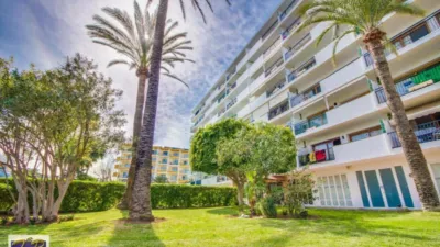 Apartment in Puerto de Alcudia photo 14