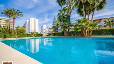 Apartment in Puerto de Alcudia photo 15