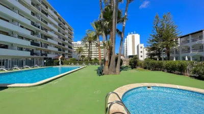 Apartment in Puerto de Alcudia photo 17