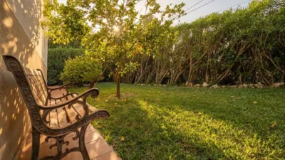 Chalet in Puerto de Alcudia photo 32