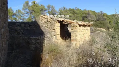 Rustic finca on Calle Barrasanes photo 20