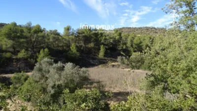 Rustic finca on Calle Barrasanes photo 25