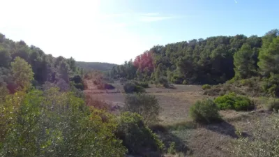Rustic finca on Calle Barrasanes photo 26