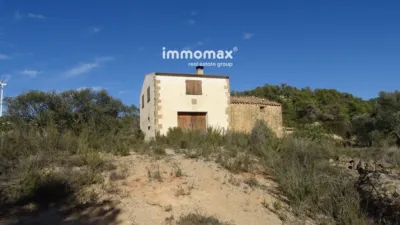 Rustic finca on Calle Barrasanes photo 2