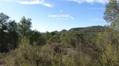 Rustic finca on Calle Barrasanes photo 4