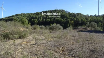 Rustic finca on Calle Barrasanes photo 7