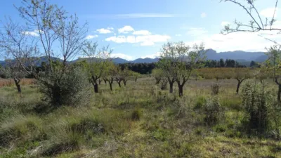 Rustic farm in Horta de Sant Joan photo 5