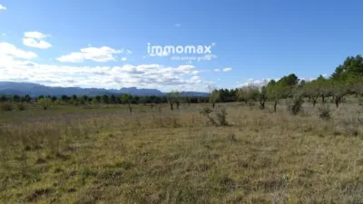 Rustic farm in Horta de Sant Joan photo 11
