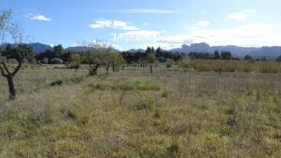 Rustic farm in Horta de Sant Joan photo 12