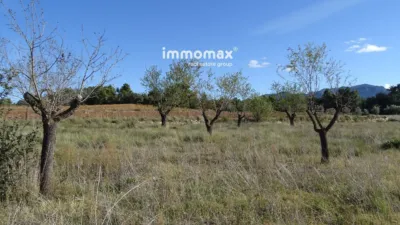 Rustic farm in Horta de Sant Joan photo 13