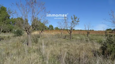 Rustic farm in Horta de Sant Joan photo 14