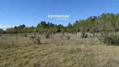 Rustic farm in Horta de Sant Joan photo 15