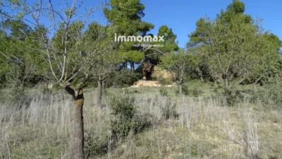 Rustic farm in Horta de Sant Joan photo 16