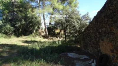 Rustic farm in Horta de Sant Joan photo 21