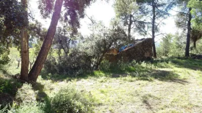 Rustic farm in Horta de Sant Joan photo 2