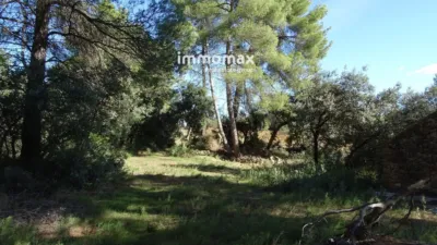 Rustic farm in Horta de Sant Joan photo 7