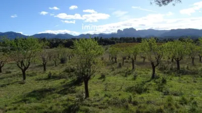 Rustic farm in Horta de Sant Joan photo 8