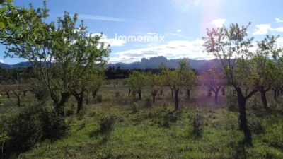 Rustic farm in Horta de Sant Joan photo 10