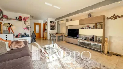 Detached House in Son Ferriol photo 2