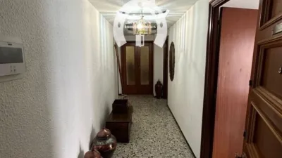 Apartment in Corazon de Jesus photo 6