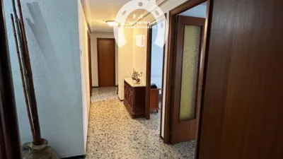Apartment in Corazon de Jesus photo 7