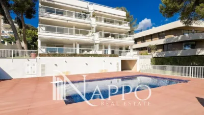 Apartment in Cas Catalá photo 33