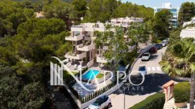 Apartment in Arroyo photo 8