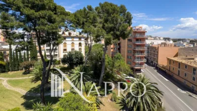 Piso en Santa Catalina photo 32
