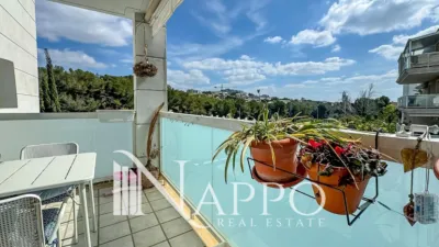 Piso en Cala Major photo 22