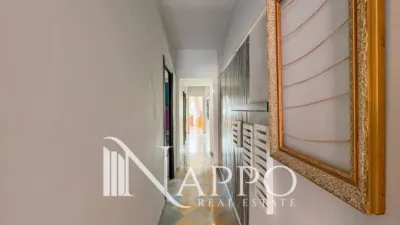 Apartment in Arenal photo 11