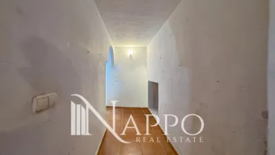 Apartment in Santa Catalina photo 9