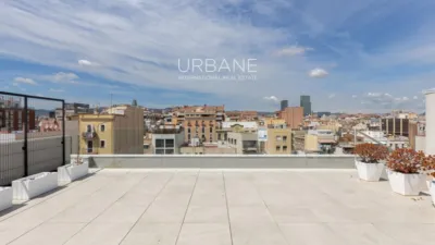 Apartment in Sant Marti photo 30