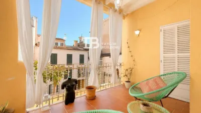 Apartment on Carrer de Sant Elies photo 3