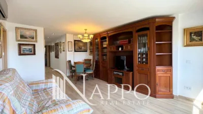 Apartment in Santa Catalina photo 3