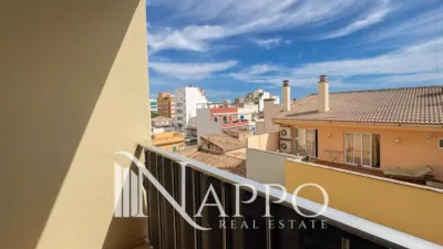Apartment in Santa Catalina photo 20
